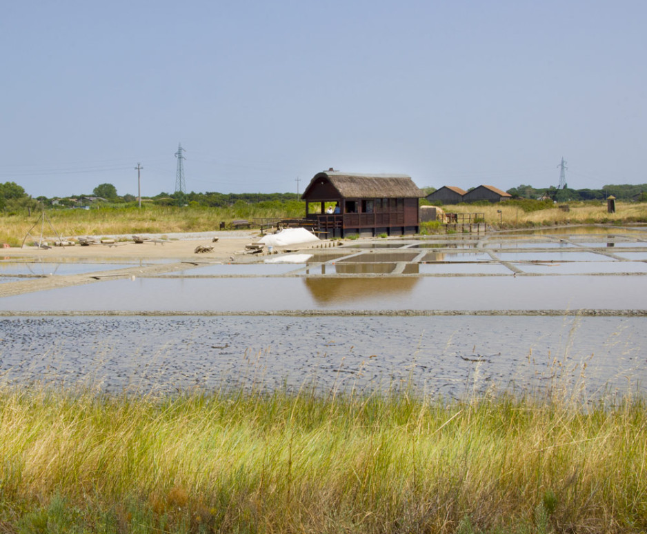 media.Buoni-motivi-Saline-Cervia-Pinetina-Mare-Cervia