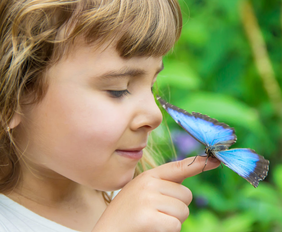 media.Buoni-motivi-Farfalle-Pinetina-Mare-Cervia