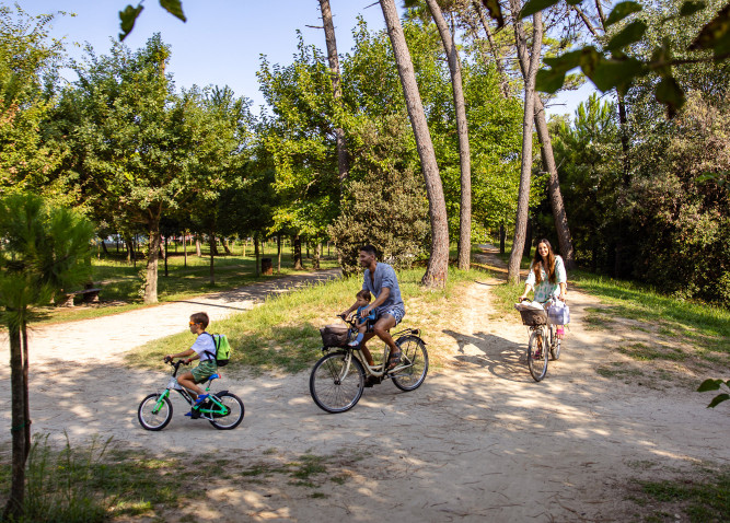 media.Gallery_Pineta_2Pinetina_Mare_Cervia